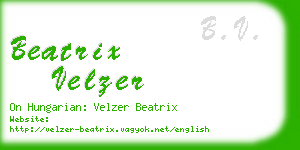 beatrix velzer business card